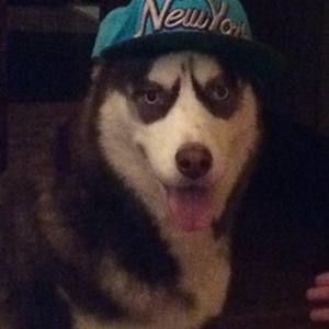 Meet your Posher, Theresa